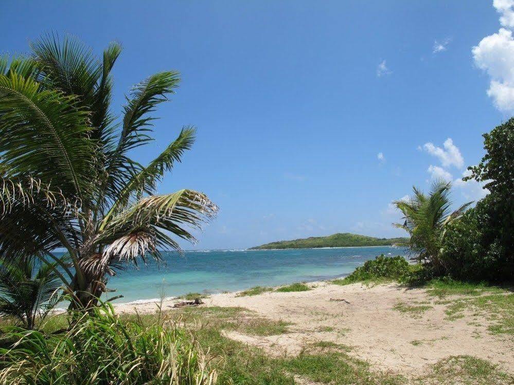 The Cove Hotel St Croix La Grande Princesse Экстерьер фото